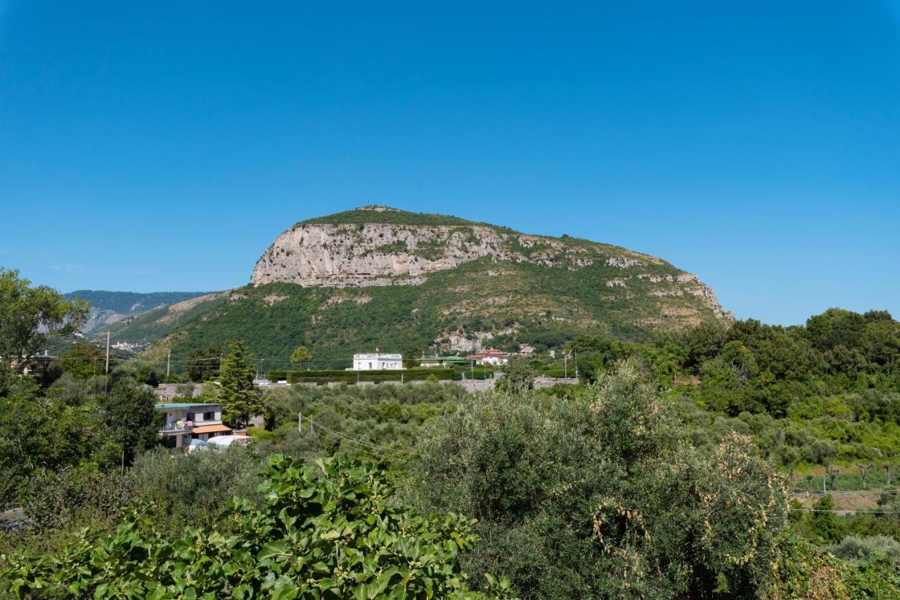 Villa Anna - De Vivo Realty Piano Di Sorrento Exterior photo